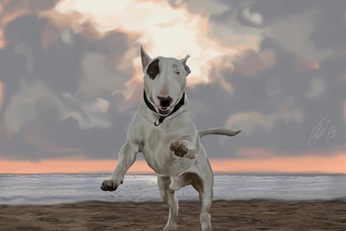 English Bull Terrier Painted By LuckyJellyfish On DeviantArt