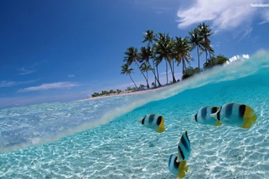 Wallpapers Wallpapers 1360x768 Fondos De Pantalla Wallpapers ...