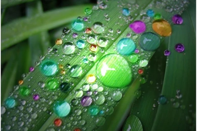 Raindrops Wallpapers   Wallpapers Cave