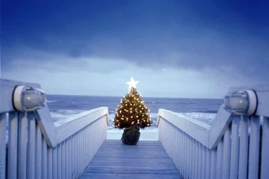 Desenhos Minha Arte: Christmas Wallpapers