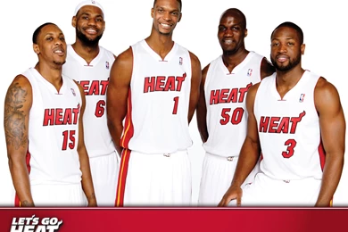 Miami Heat Team Basketball