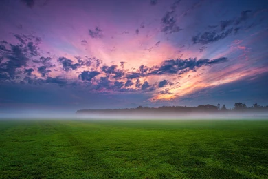 Field Grass Fog Trees Germany Wallpapers