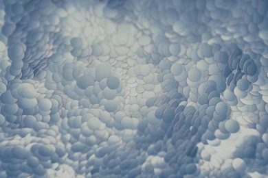 Next Generation Nexus 7 Stock Wallpapers Leaked, Download Them ...