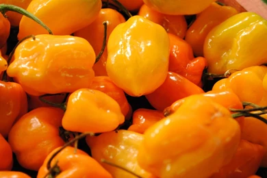 Nexus 5 Wallpapers: 2015 Peugeot Fractal Coupe Convertible Free ...