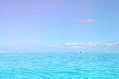 You Could Use These Sweet Backgrounds (23 Photos)