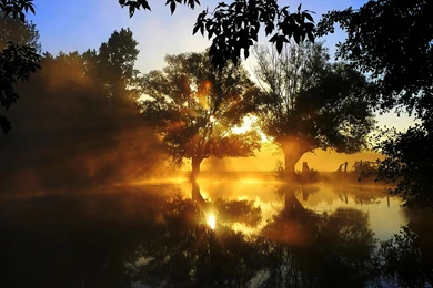 Nexus 5 Wallpapers Page 2: Merry Christmas Xmas Snow Winter Cool ...