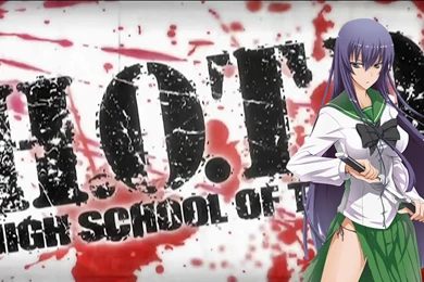 Highschool Of The Dead Busujima Saeko High School