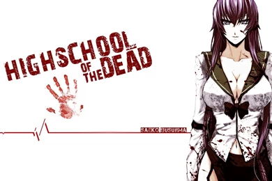 High School Of The Dead Girl Anime Wallpapers