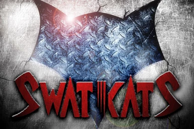 All New Pix1: Wallpapers Hd Swat