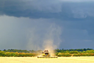 File:New Holland Combine At Work Near Stoneleigh 2.jpg   Wikimedia ...