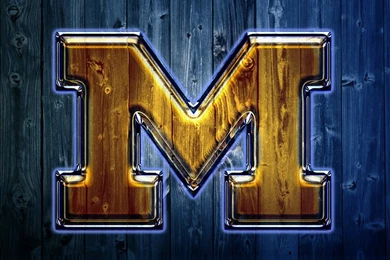 For You U Of M Fans By Rowlee On DeviantArt