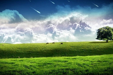 1366x768 wide desktop hd wallpapers » High Ape