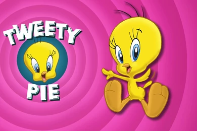 Wallpapers Of Tweety   Wallpapers Cave