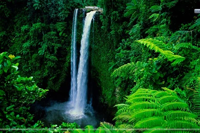 Upolu Samoa Related Keywords & Suggestions   Upolu Samoa Long Tail ...