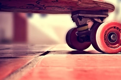 Skateboarding Skateboards Skateboard Wheels Skate Wallpapers