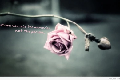 Mobile Wallpapers With Sayings And Quotes