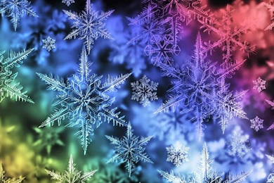 Snowflakes Wallpapers   (