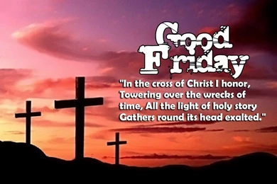 Great Friday Quotes And Sayings. QuotesGram