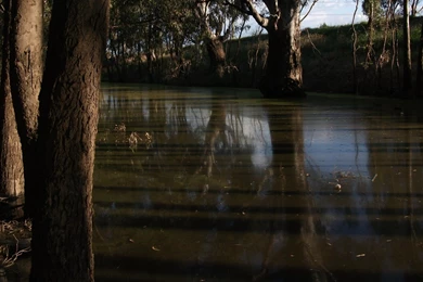 New Ubuntu 12.04 Wallpaper. Widescreen This Time.