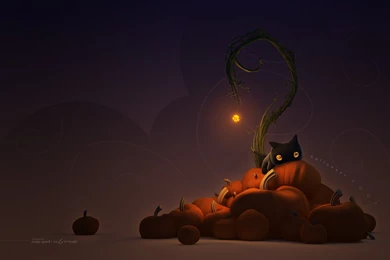 Coco Standard Halloween Pumpkins Moon Black Cat