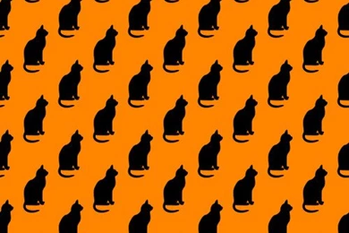 Free Halloween Cat Backgrounds   Silver Spiral Studio