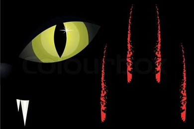 Cat's Eyes In The Halloween Black Backgrounds