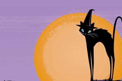Halloween Cat 1920x1200   Wallpapers   ImgPrix