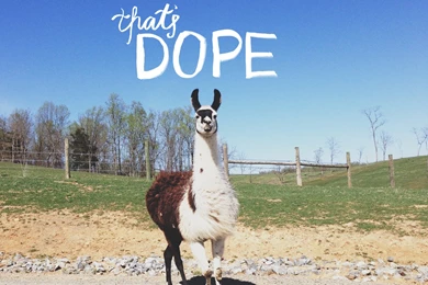 Desktop Freebie: That's Dope