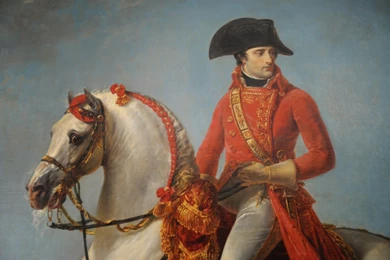 Jacques Louis David Napoleon Wallpapers