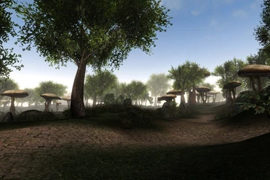 Download Morrowind Wallpapers 1024x768