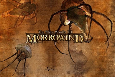 The Elder Scrolls III: Morrowind Computer Wallpapers, Desktop ...