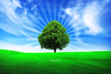 Download Green Tree HD Wallpapers For Desktop