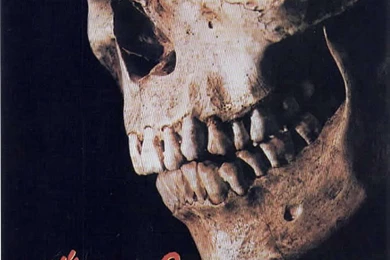 Evil Dead 2 Images, Pictures, Photos, Icons And Wallpapers ...