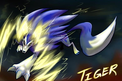 Tiger By FENNEKlNS On DeviantArt