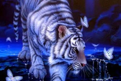 White Tiger Animated Wallpapers