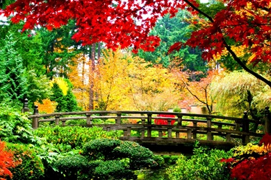 Beautiful Fall Photos