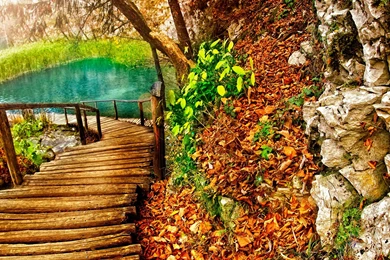 Beautiful Landscape Scenery Wallpaper 8.jpg