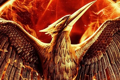 The Hunger Games Mockingjay Part 1 HD Desktop Wallpapers : High ...