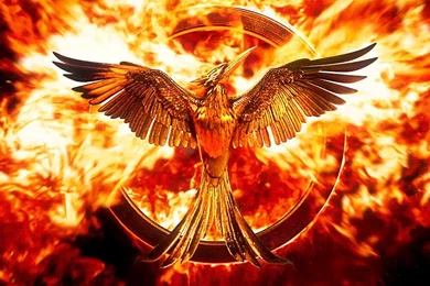 Full HD Wallpapers The Hunger Games Bird Logo Explosion, Desktop ...