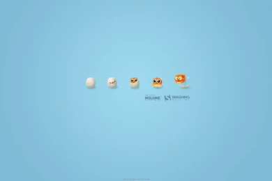 Birds Magazine Smashing Growth, 2560x1440 HD Wallpapers And FREE ...