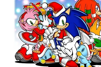 1024x1024 Sonic The Hedgehog 1600x1200 Wallpapers Download ...