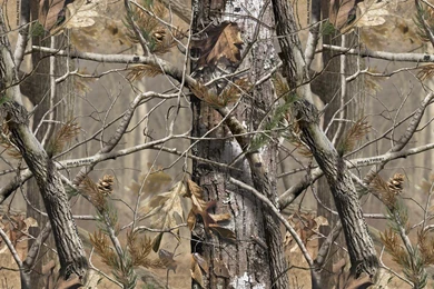 17097) Realtree Camo Android Wallpapers   WalOps.com