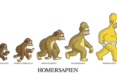 Free Crazy Funny Wallpapers HD Resolution @FX1 « Wallx