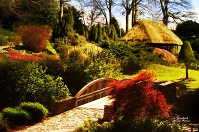 City Best Wallpapers