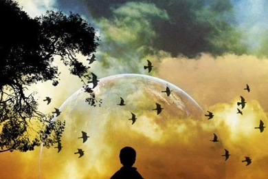 NatureWallpaper.rocks — Download Nature Cell Phone Wallpapers For ...