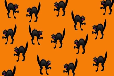 Halloween Wallpapers 592   HD Wallpapers