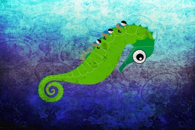 Seahorse Wallpapers And Images   Wallpapers, Pictures, Photos
