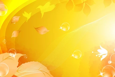 Rare Birds Wallpapers Related Keywords & Suggestions   Rare Birds ...