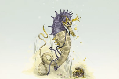 Seahorse Computer Wallpapers, Desktop Backgrounds