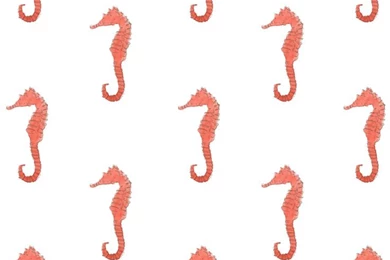 Seahorse Pattern ★ Find More Cute